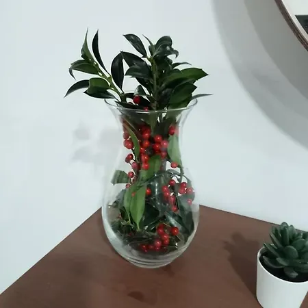 Casa Do Mestre Dom wakacyjny Vieira do Minho