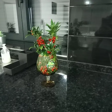 Dom wakacyjny Casa Do Mestre Vieira do Minho