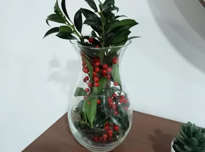 Casa Do Mestre Hébergement de vacances Vieira do Minho