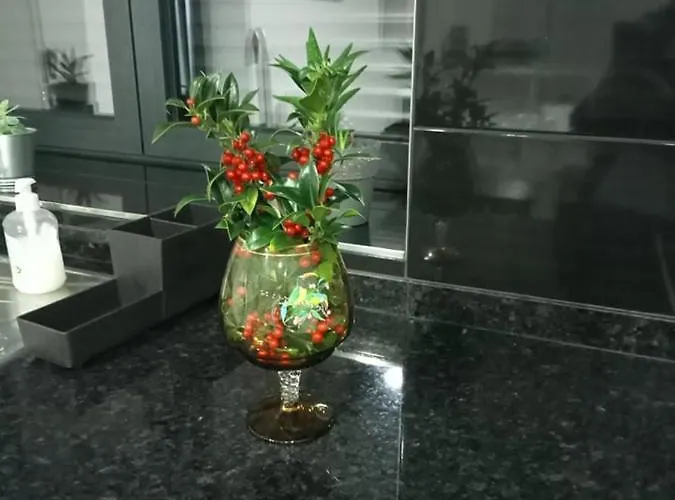 펜션 Casa Do Mestre 비에이라도미노